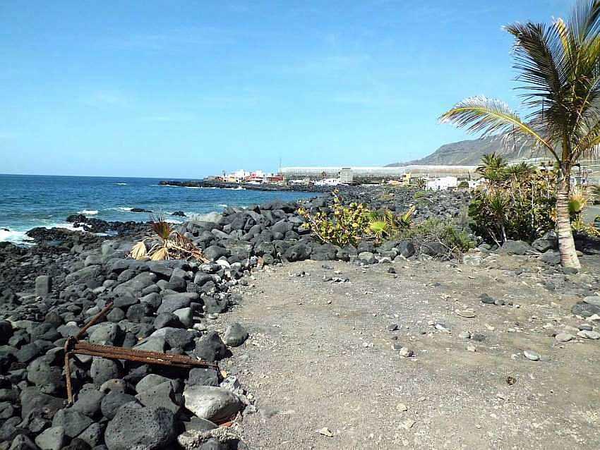 el remo 004