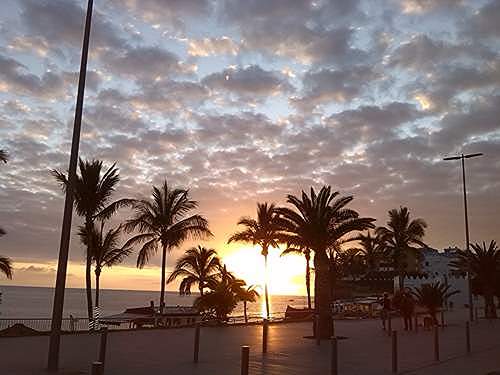 puerto naos am strand